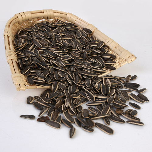 味蕾盛宴 從散裝批發(fā)到精致小包裝，探秘五香瓜子的獨特魅力